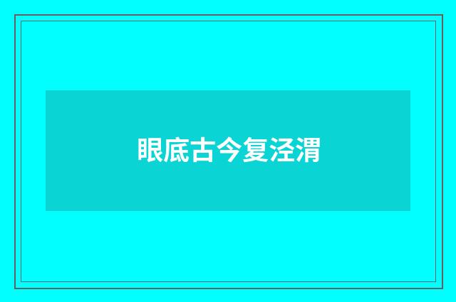 眼底古今复泾渭