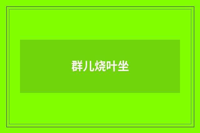 群儿烧叶坐