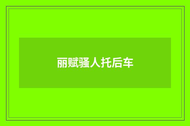 丽赋骚人托后车