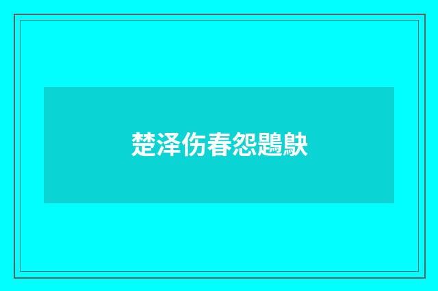 楚泽伤春怨鶗鴃