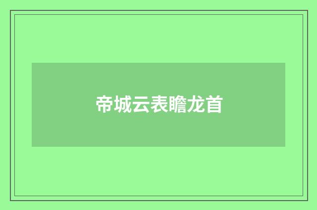 帝城云表瞻龙首