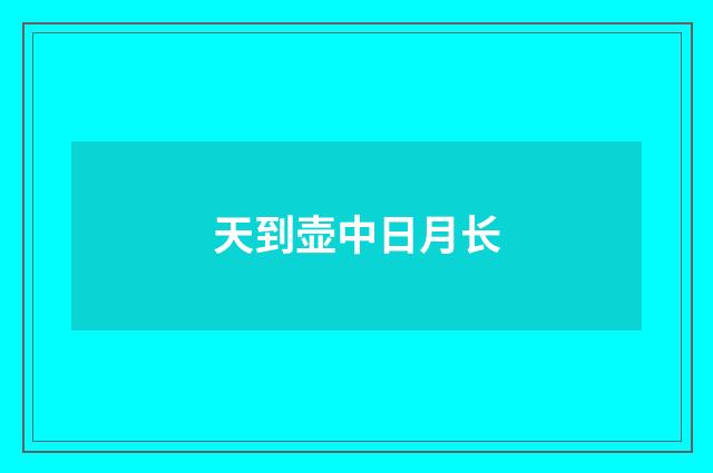 天到壶中日月长