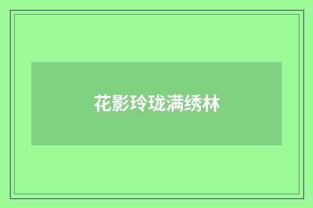 花影玲珑满绣林