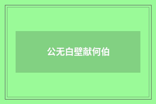 公无白壁献何伯