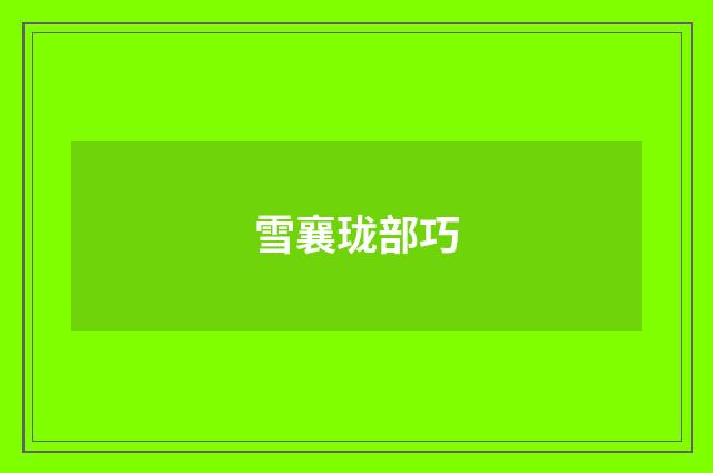 雪襄珑部巧