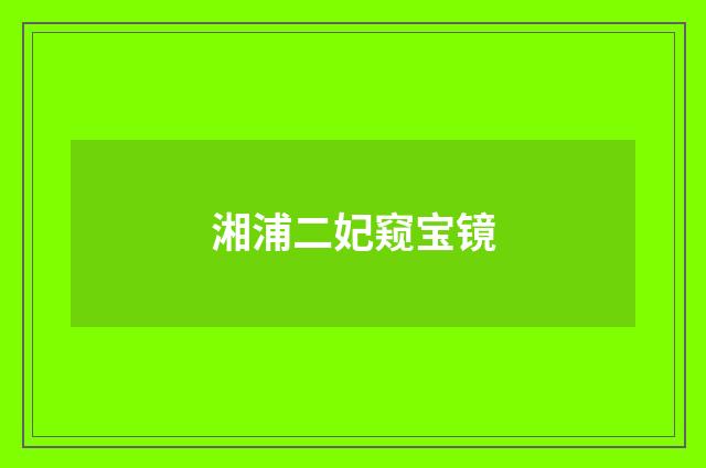 湘浦二妃窥宝镜