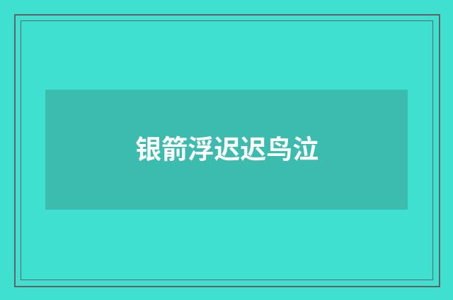 银箭浮迟迟鸟泣