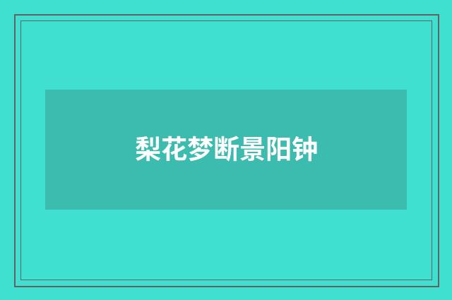 梨花梦断景阳钟