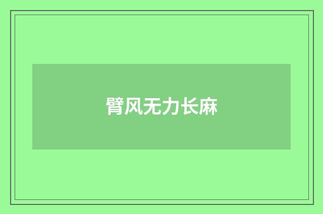 臂风无力长麻