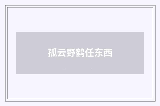 孤云野鹤任东西