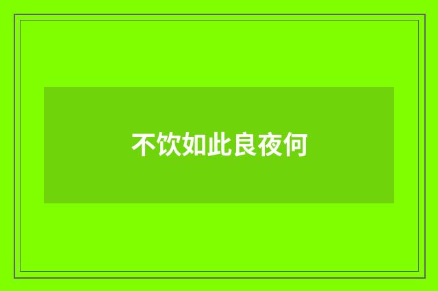不饮如此良夜何