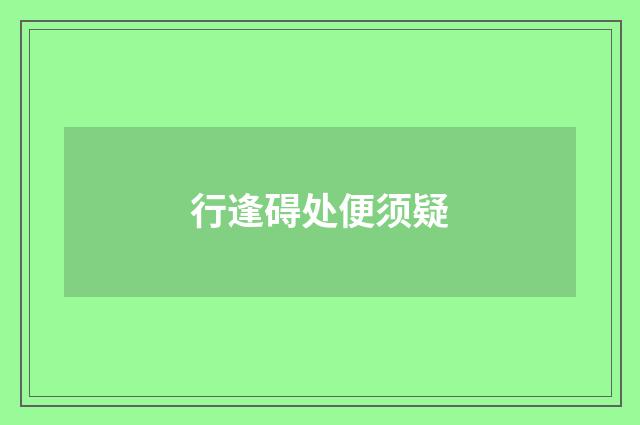 行逢碍处便须疑