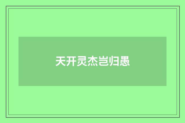 天开灵杰岂归愚