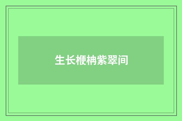 生长楩柟紫翠间