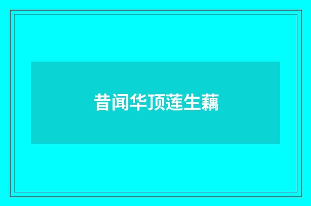 昔闻华顶莲生藕