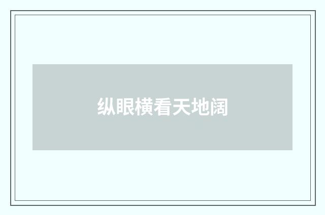 纵眼横看天地阔