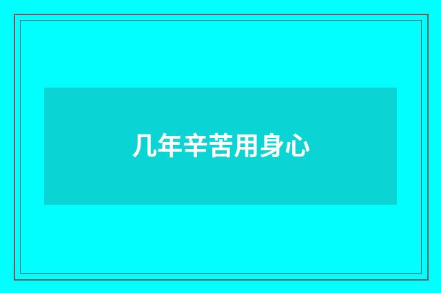 几年辛苦用身心