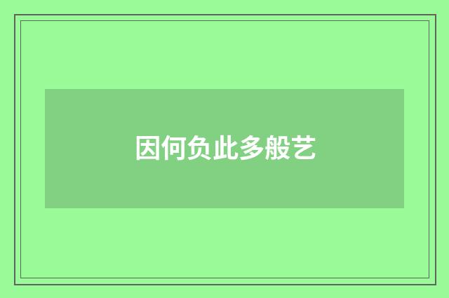 因何负此多般艺