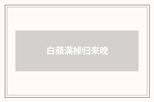 白蘋满棹归来晚