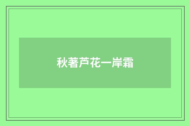 秋著芦花一岸霜