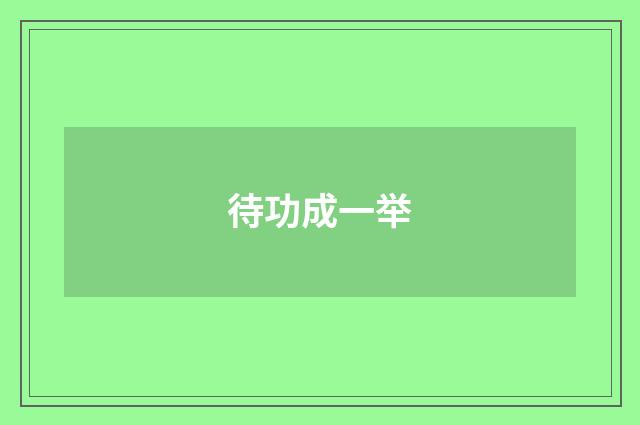 待功成一举