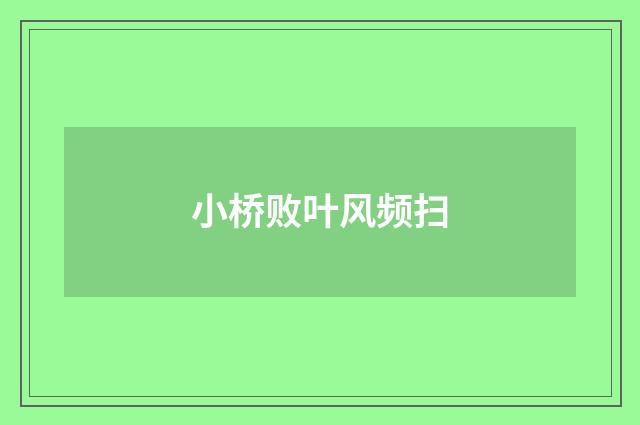 小桥败叶风频扫