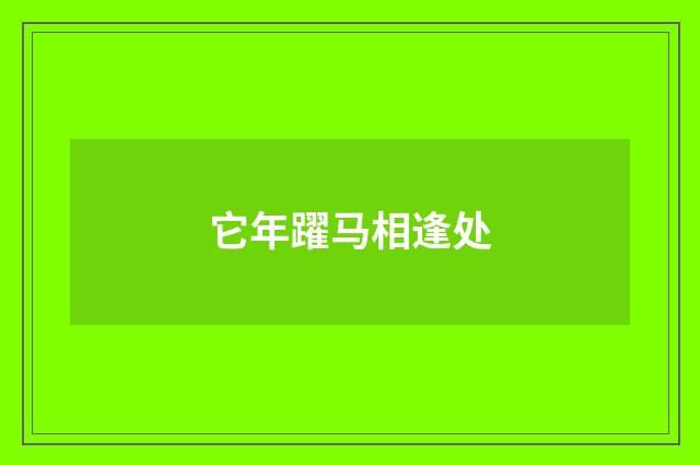 它年躍马相逢处
