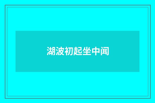 湖波初起坐中闻