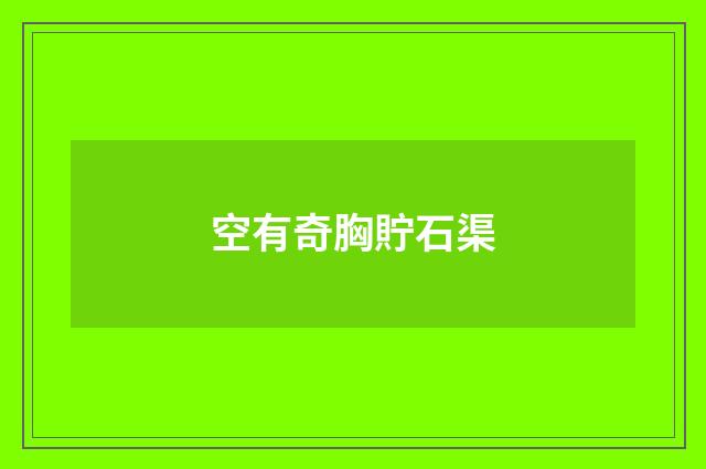 空有奇胸貯石渠