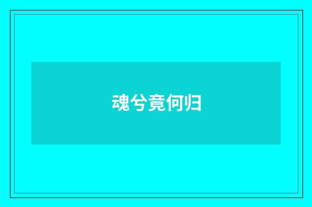 魂兮竟何归