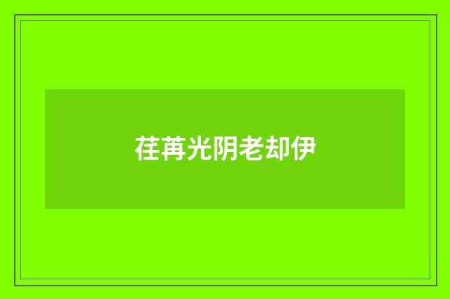 荏苒光阴老却伊