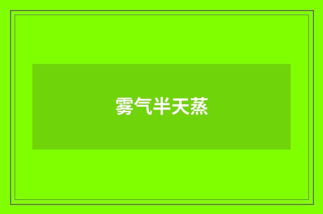 雾气半天蒸