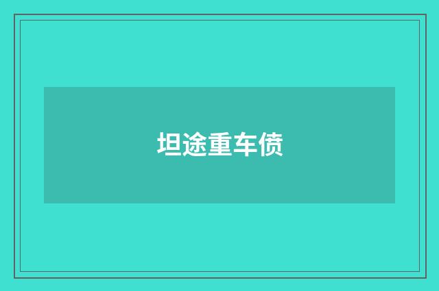 坦途重车偾