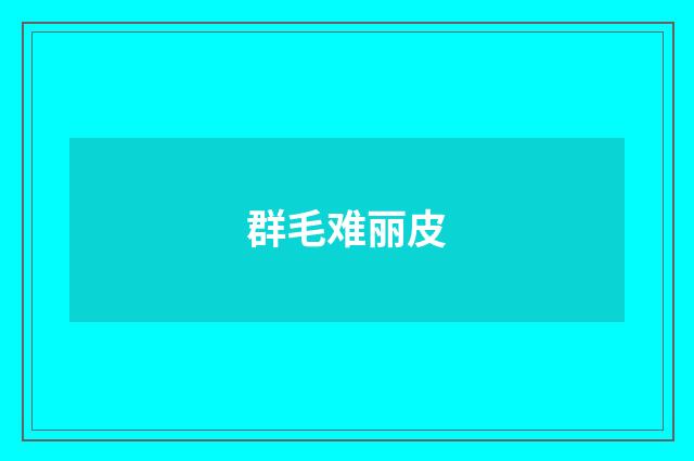 群毛难丽皮