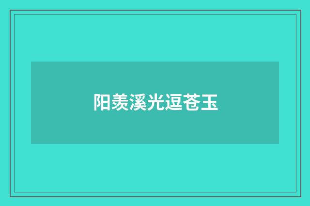 阳羡溪光逗苍玉