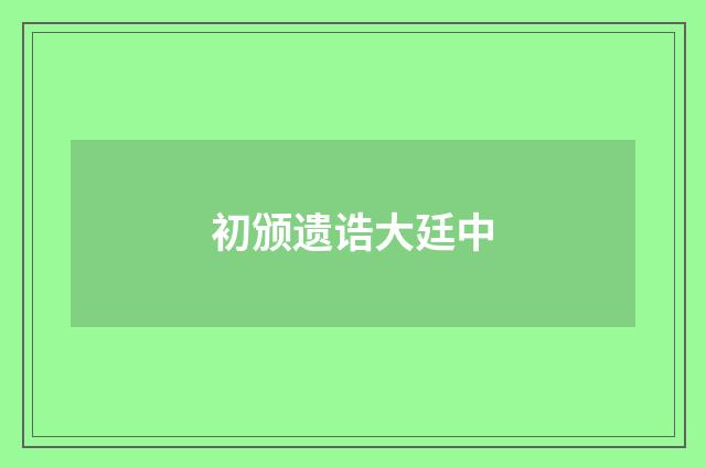 初颁遗诰大廷中