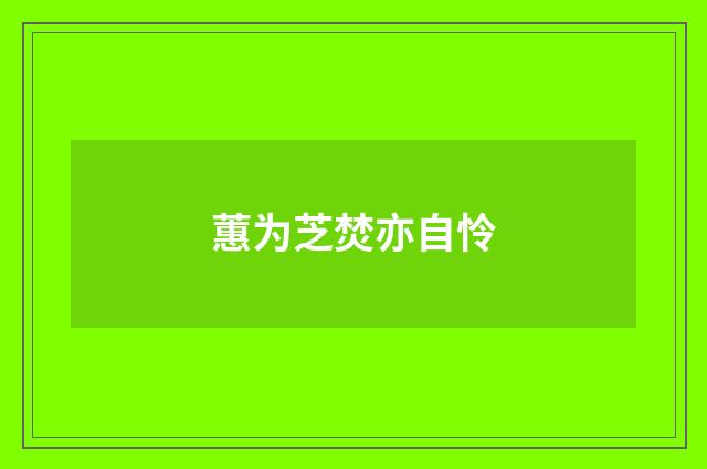 蕙为芝焚亦自怜