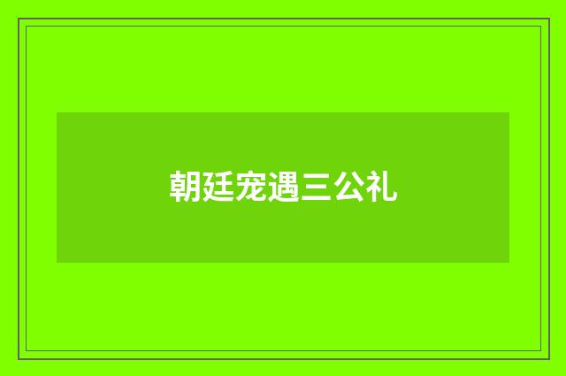 朝廷宠遇三公礼