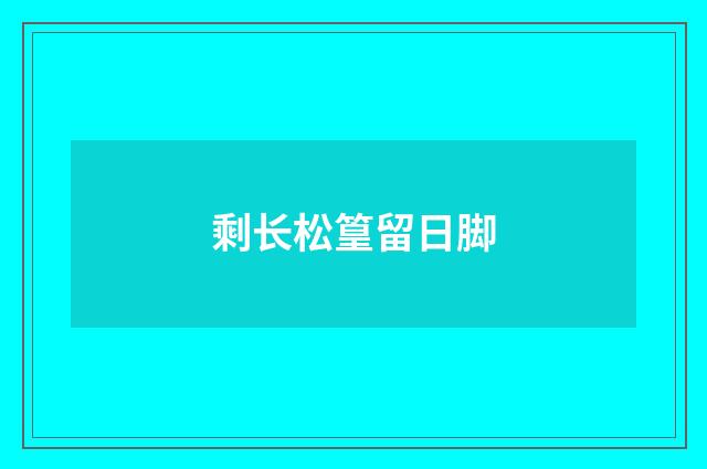 剩长松篁留日脚