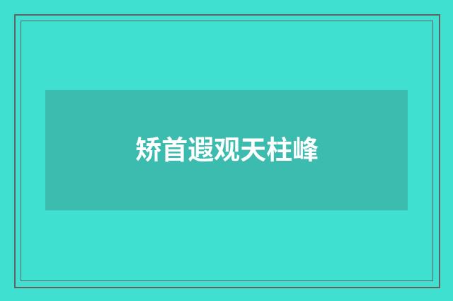 矫首遐观天柱峰