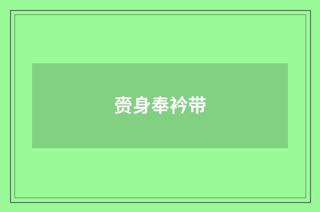 赍身奉衿带