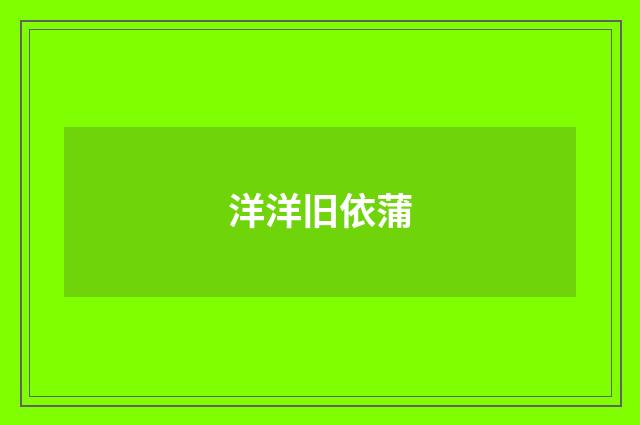 洋洋旧依蒲