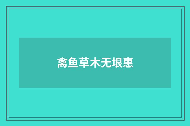 禽鱼草木无垠惠