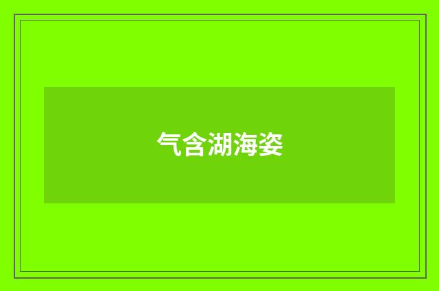 气含湖海姿