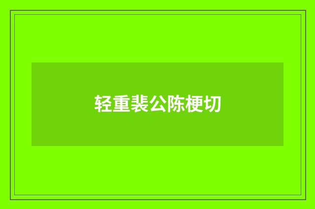 轻重裴公陈梗切