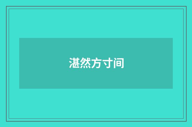 湛然方寸间