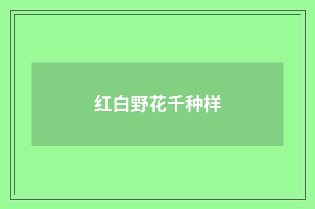 红白野花千种样