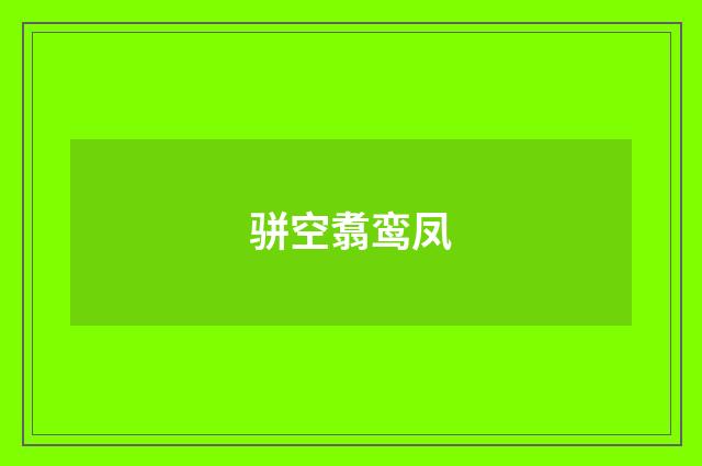 骈空翥鸾凤
