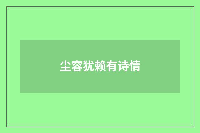 尘容犹赖有诗情