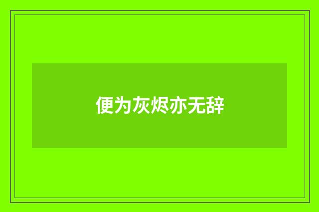 便为灰烬亦无辞